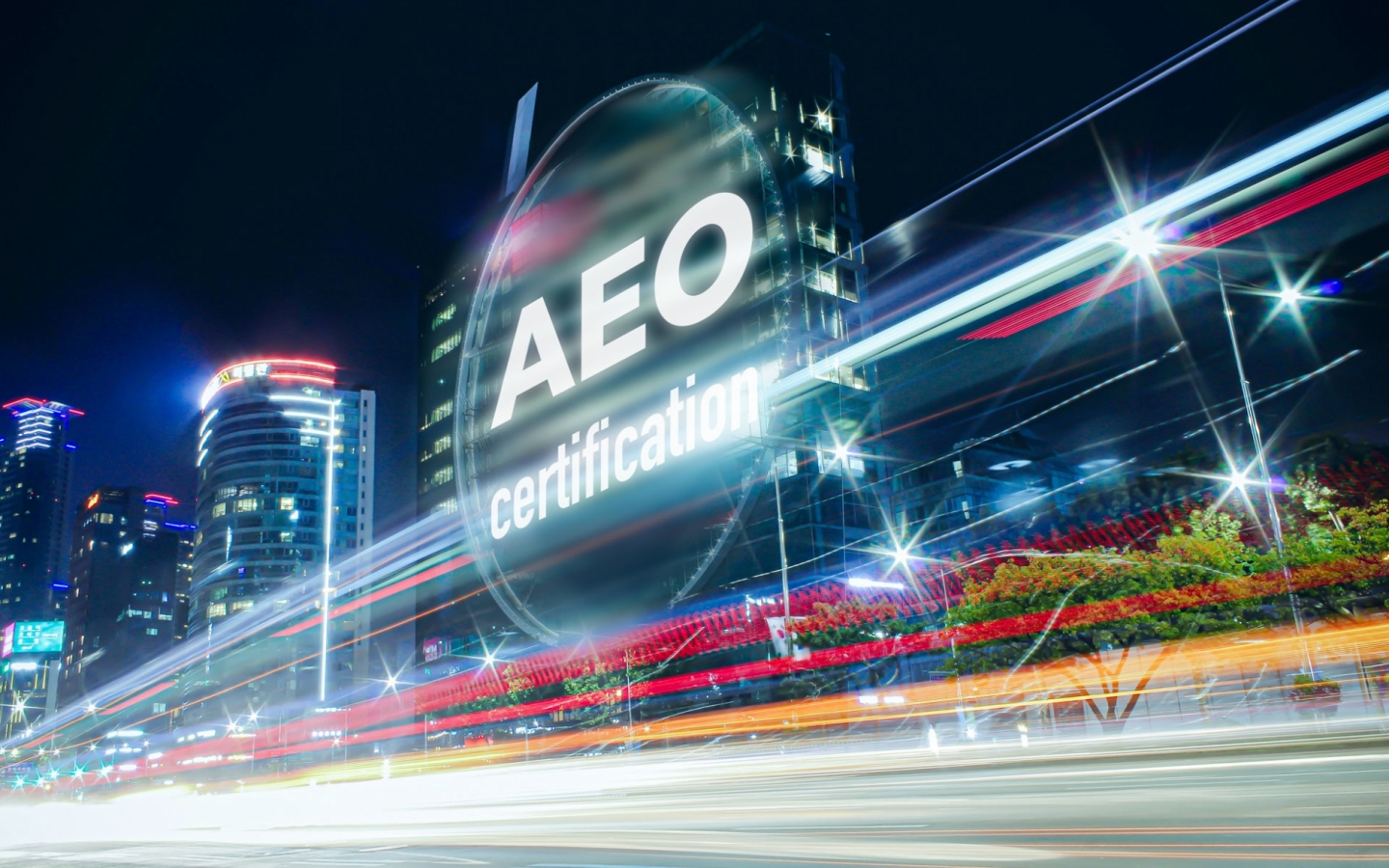 AEO authorization